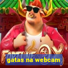 gatas na webcam