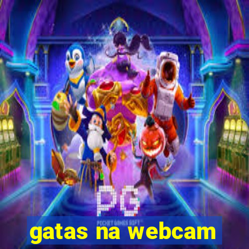 gatas na webcam