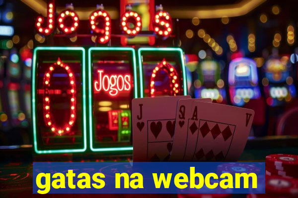 gatas na webcam