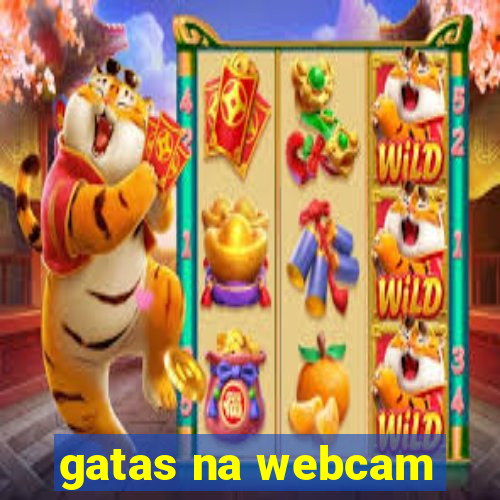 gatas na webcam