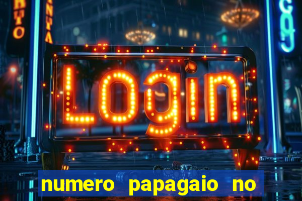 numero papagaio no jogo do bicho