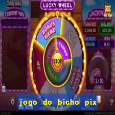 jogo do bicho pix da sorte