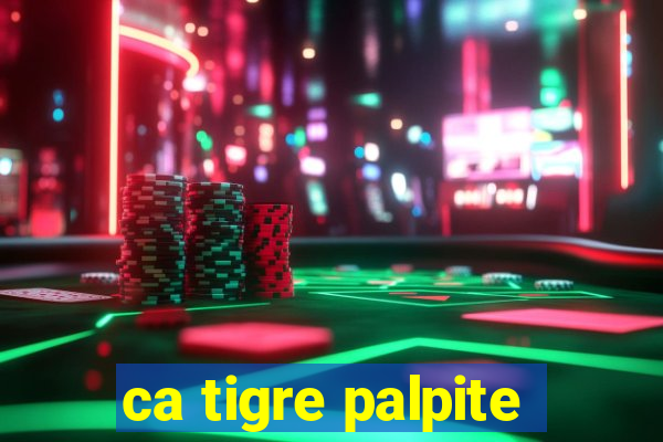 ca tigre palpite