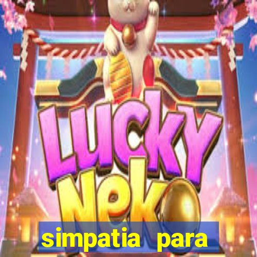 simpatia para ganhar na loteria com folha de louro