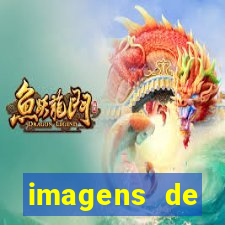 imagens de digitopuntura mori