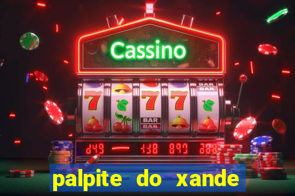 palpite do xande para hoje