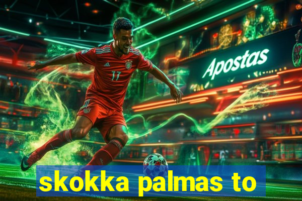 skokka palmas to