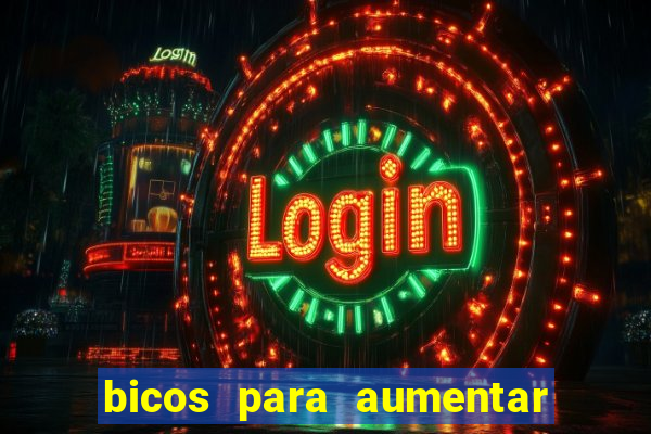 bicos para aumentar a renda