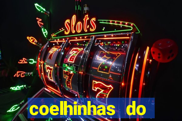 coelhinhas do brasil jp