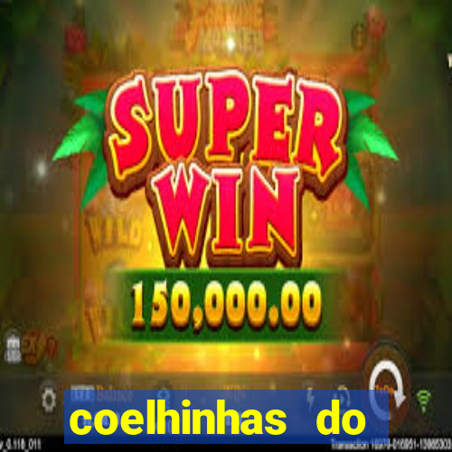 coelhinhas do brasil jp
