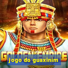jogo do guaxinim