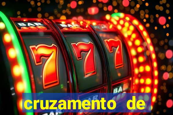 cruzamento de cavalo com jumenta globo rural