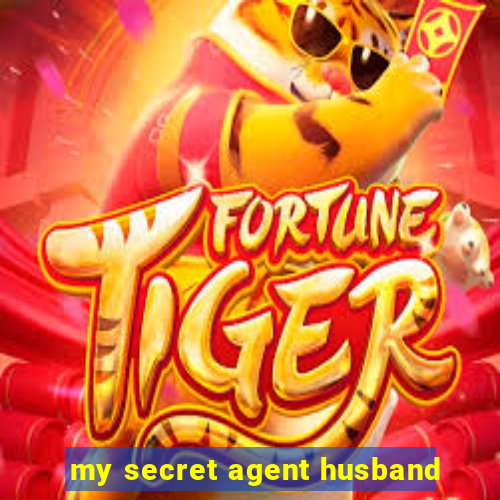 my secret agent husband