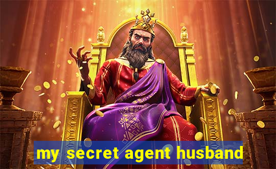 my secret agent husband