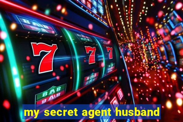 my secret agent husband