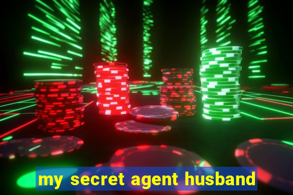 my secret agent husband