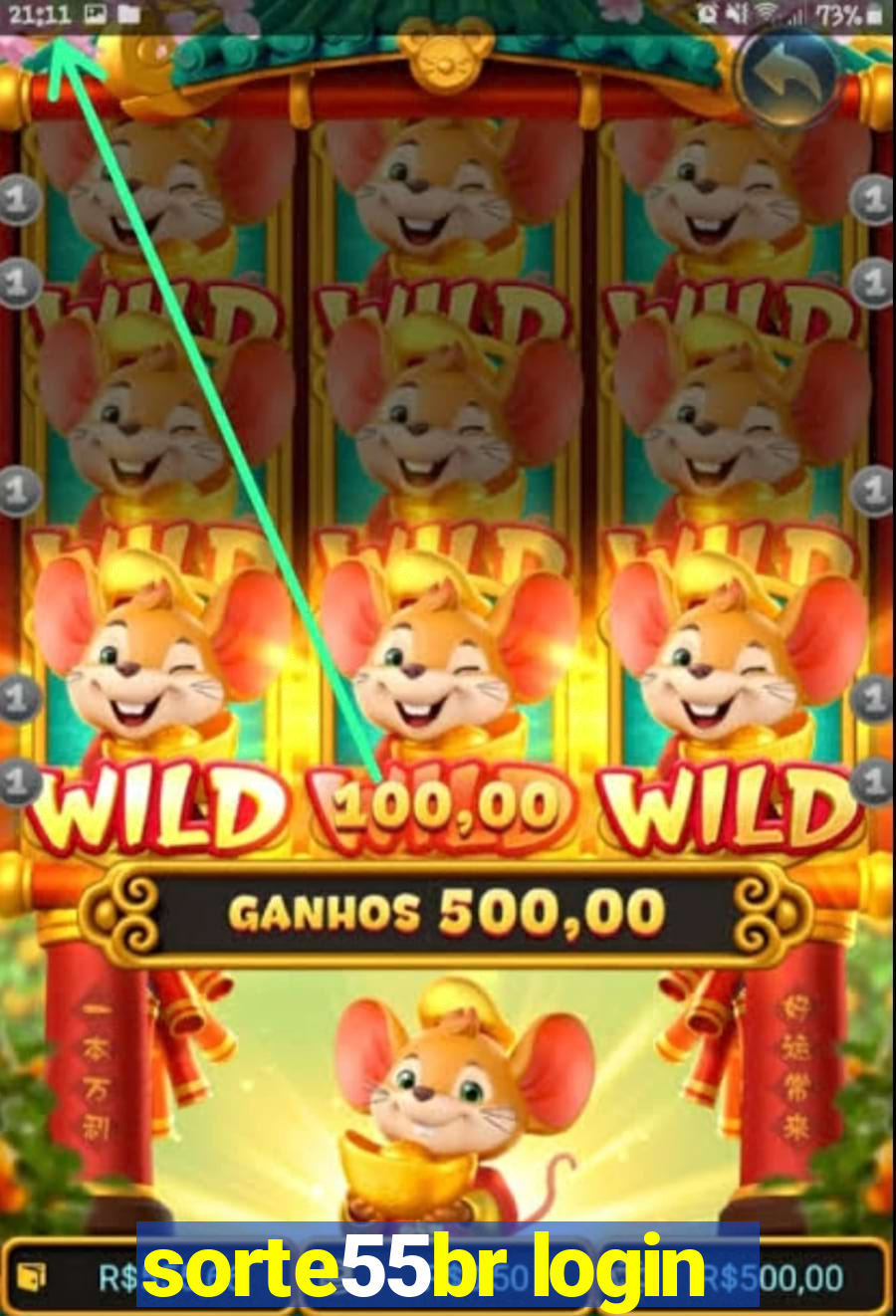 sorte55br login