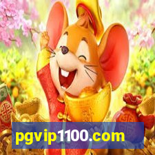 pgvip1100.com