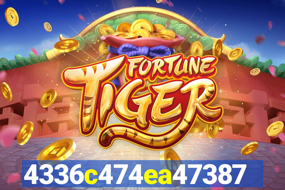 plataforma 6555bet
