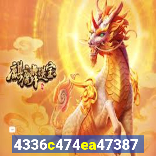 plataforma 6555bet