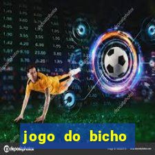 jogo do bicho pantera negra