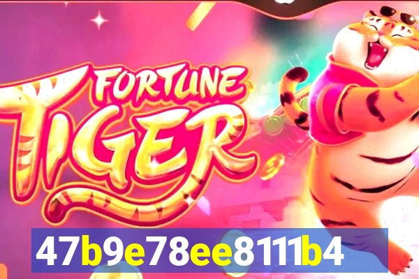 535bet.net