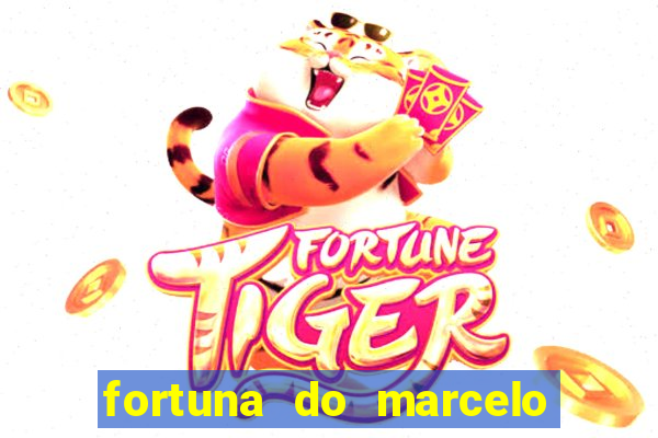 fortuna do marcelo do fluminense