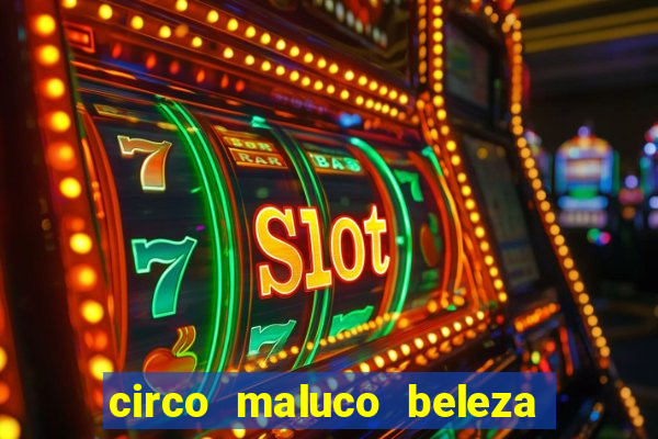 circo maluco beleza recife circo maluco