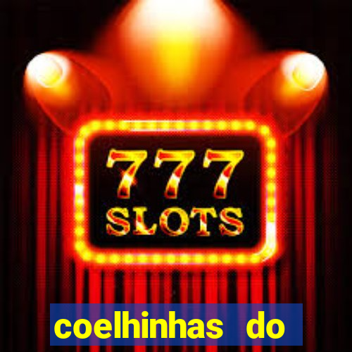 coelhinhas do brasil recife