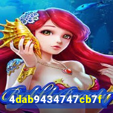 255bet com