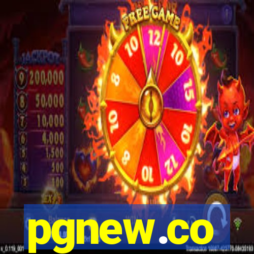 pgnew.co