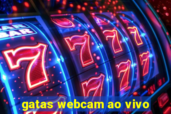 gatas webcam ao vivo