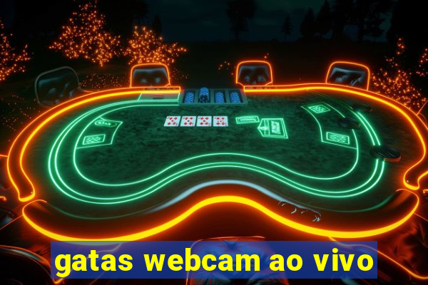 gatas webcam ao vivo
