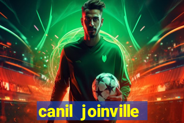 canil joinville vila nova