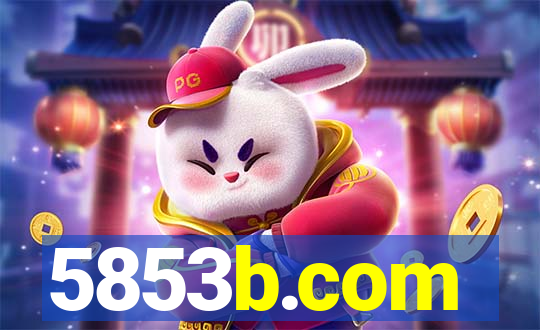 5853b.com
