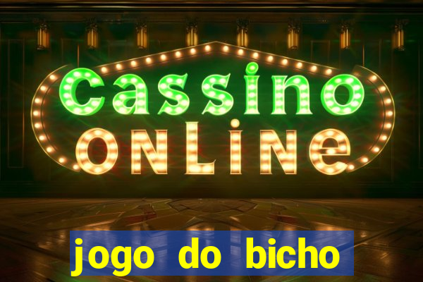 jogo do bicho crash bingo