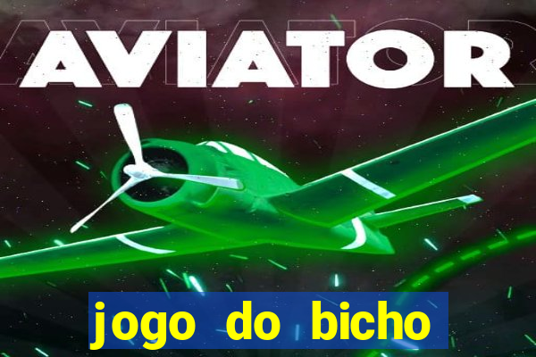 jogo do bicho crash bingo