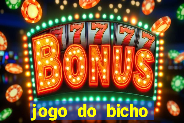 jogo do bicho crash bingo