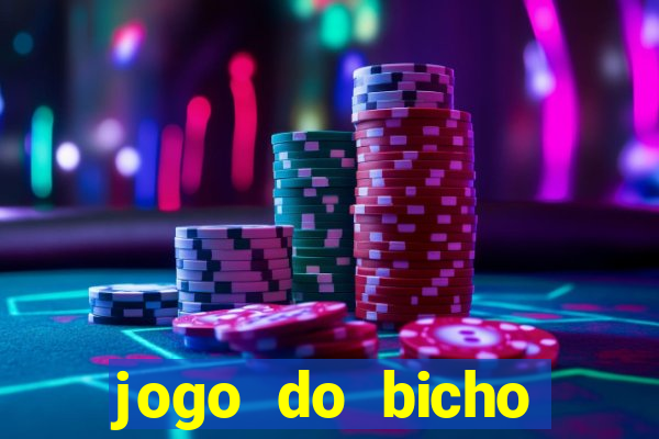 jogo do bicho crash bingo