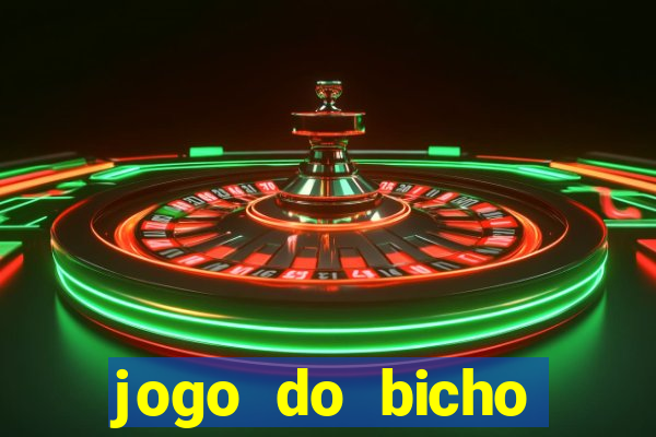 jogo do bicho crash bingo