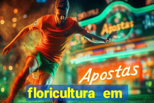 floricultura em lauro de freitas