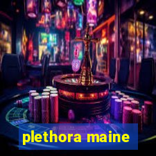 plethora maine