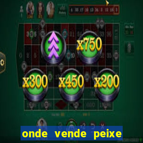 onde vende peixe betta perto de mim