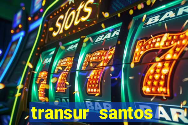 transur santos dumont x juiz de fora 2024