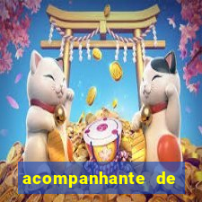 acompanhante de luxo em salvador bahia