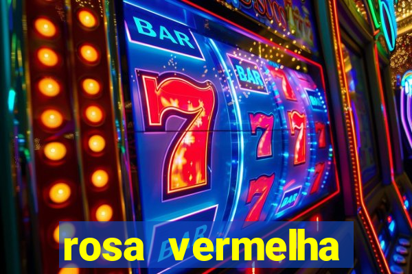 rosa vermelha (letra e cifra)