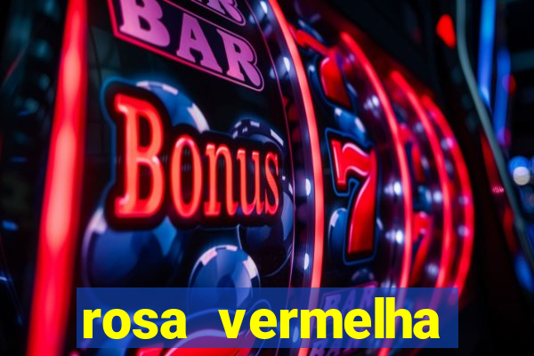 rosa vermelha (letra e cifra)