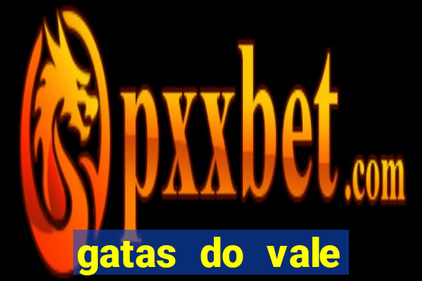 gatas do vale juazeiro bahia