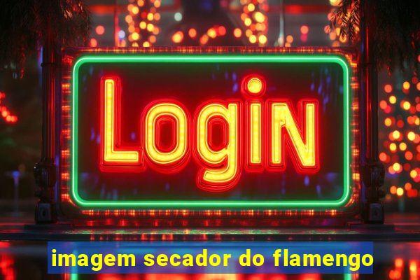 imagem secador do flamengo