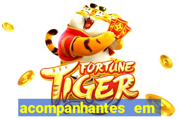 acompanhantes em porto velho rondonia